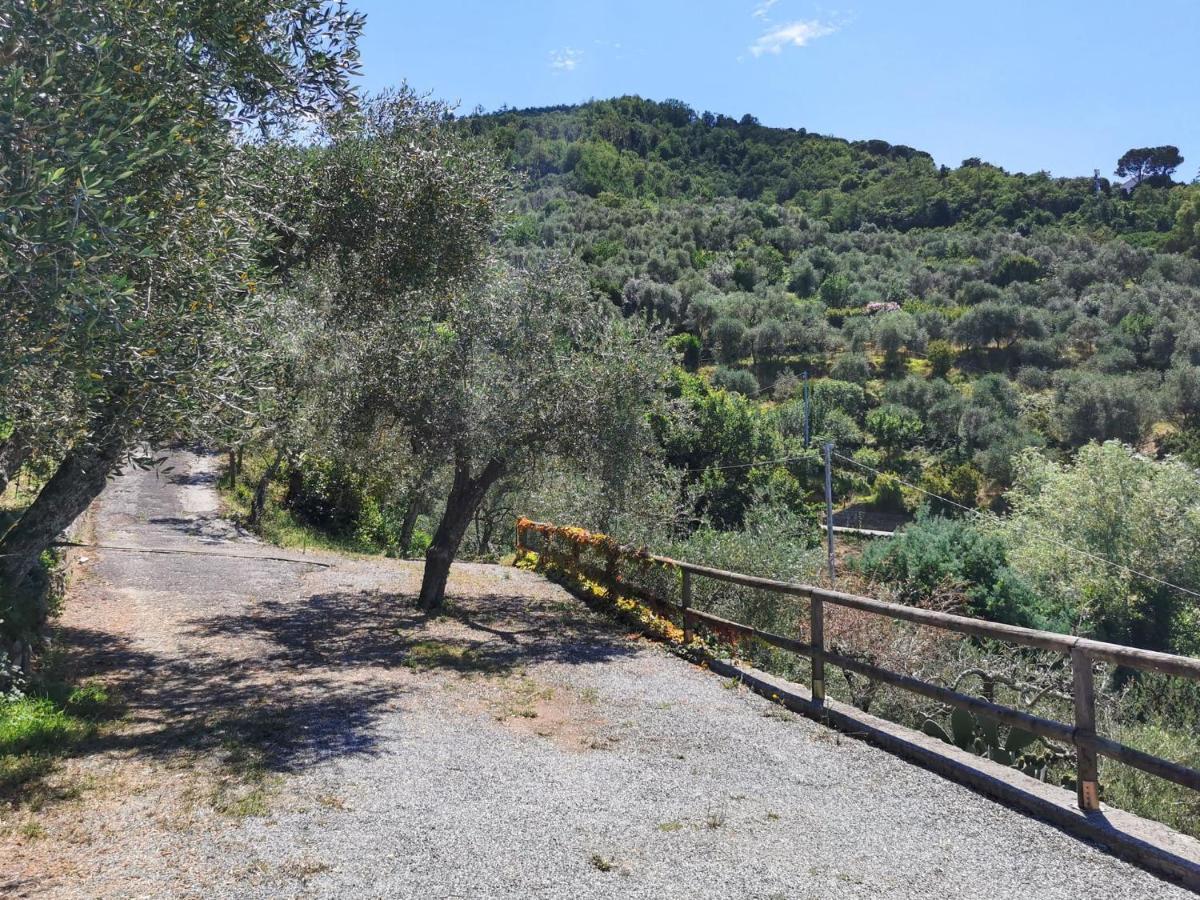 Il Frantoio Del Mesco - Levanto Exteriér fotografie
