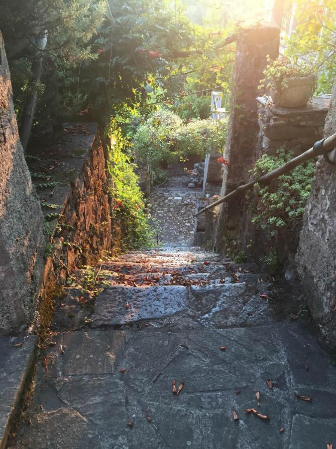 Il Frantoio Del Mesco - Levanto Exteriér fotografie