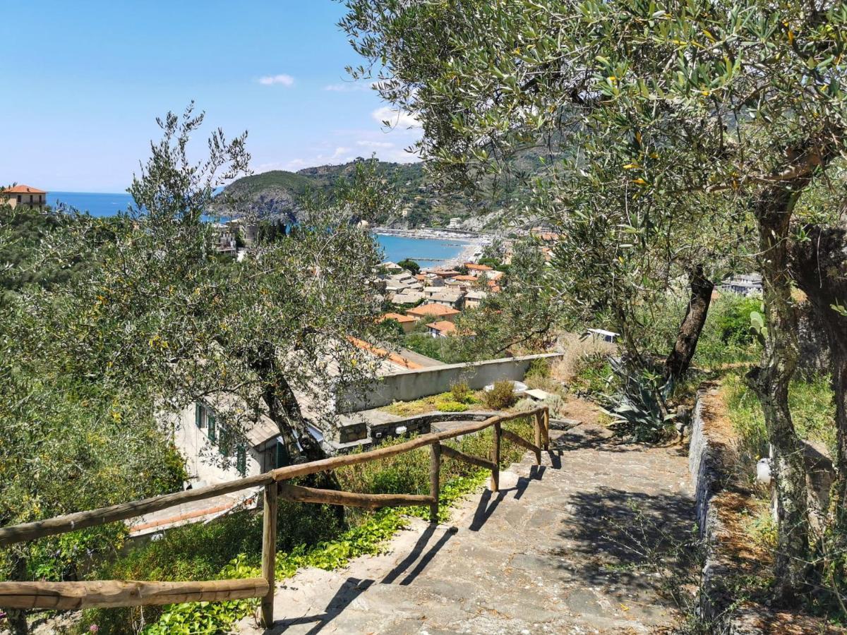 Il Frantoio Del Mesco - Levanto Exteriér fotografie